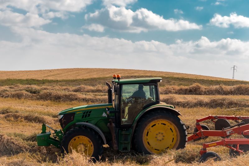 Green compact tractor with a red implement in a golden field